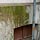 Vorschaubild - Fassade mit Moosbewuchs